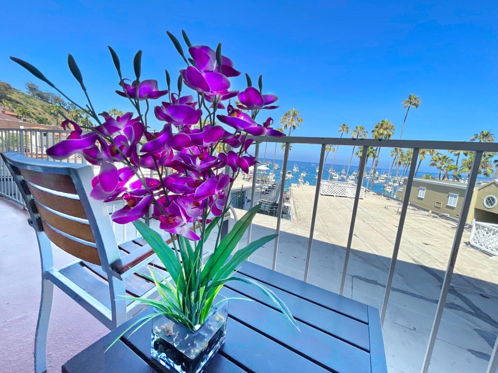 Catalina Courtyard Suites Avalon Esterno foto